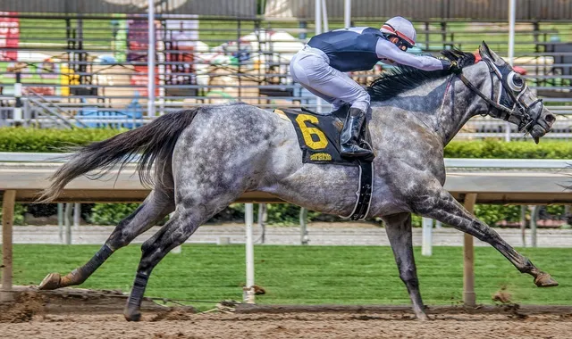 West-Clare-Races-Sept-2018-007