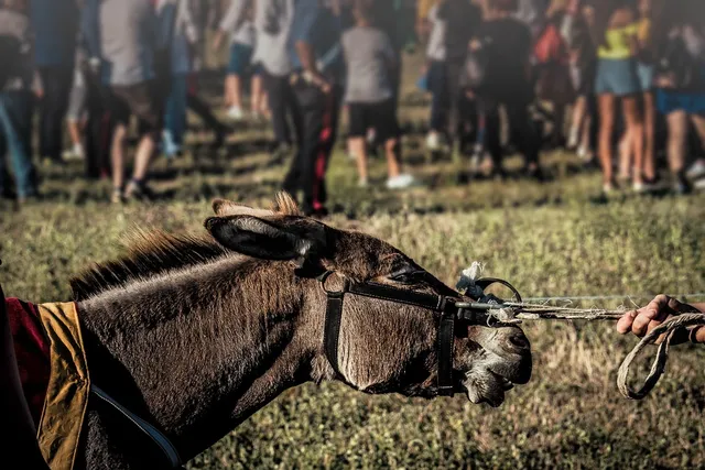 West-Clare-Races-Sept-2018-002