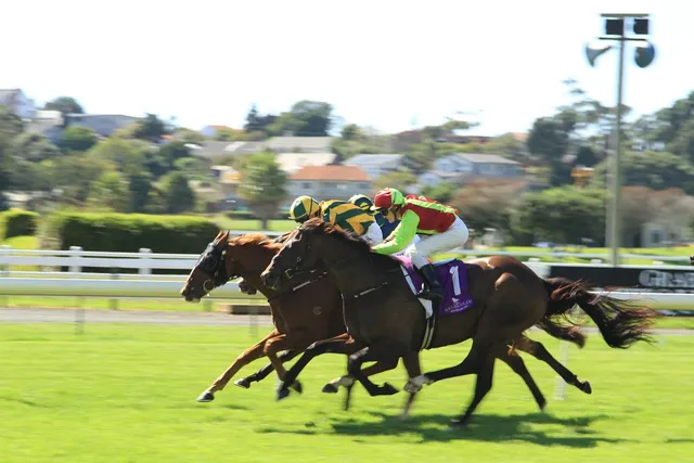 West-Clare-Races-Sept-2018-009